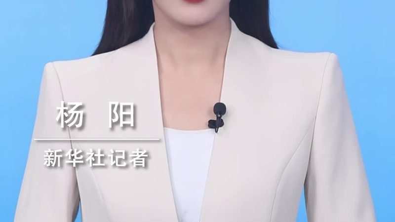 ERP软件实施费用谈判：如何精准把握成本与价值